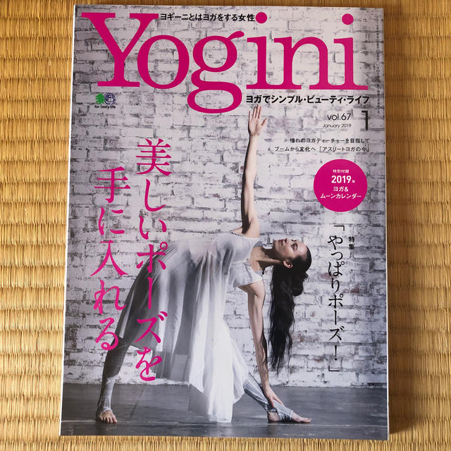 Yogini 2019年 01月号 エンタメ/ホビーの雑誌(その他)の商品写真