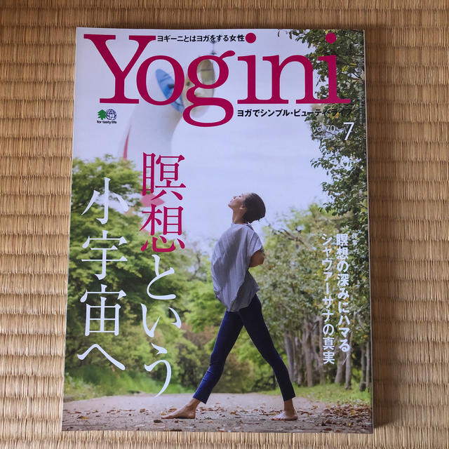yogini(ヨギーニ) 2019年 07月号 エンタメ/ホビーの雑誌(その他)の商品写真