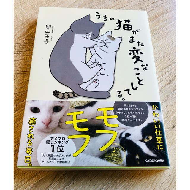 うちの猫がまた変なことしてる。①巻 エンタメ/ホビーの漫画(4コマ漫画)の商品写真