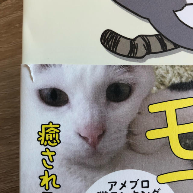 うちの猫がまた変なことしてる。①巻 エンタメ/ホビーの漫画(4コマ漫画)の商品写真