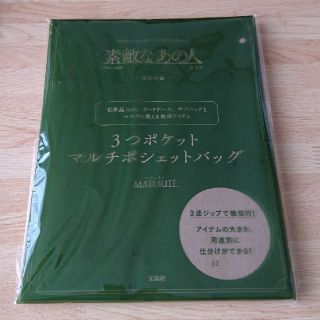 タカラジマシャ(宝島社)の(値下げ)素敵なあの人 2020年6月号特別付録 マルチポシェットバッグ(ショルダーバッグ)