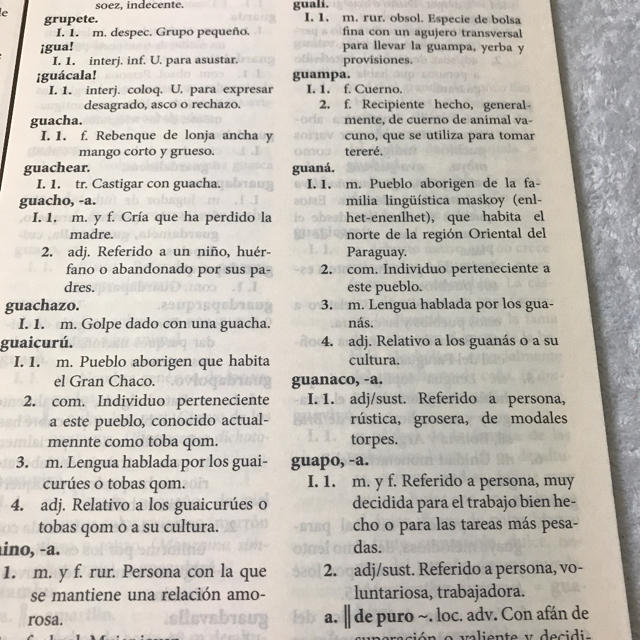 【裁断済】スペイン語辞典　パラグアイ版 エンタメ/ホビーの本(語学/参考書)の商品写真