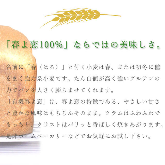 有機　春よ恋　１k 食品/飲料/酒の食品(パン)の商品写真