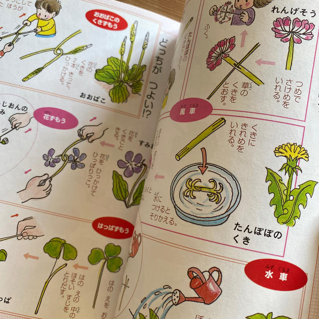 学研 - ふれあいこどもずかん春夏秋冬 きせつのしぜん 第2版の 学研 - ふれあいこどもずかん春夏秋冬 きせつのしぜん 第2版の