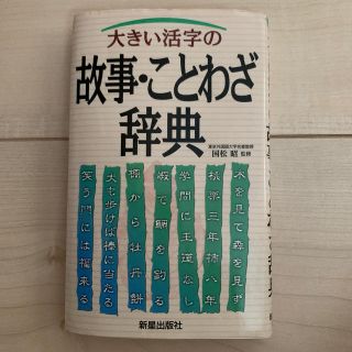 大きい活字の故事・ことわざ辞典(語学/参考書)