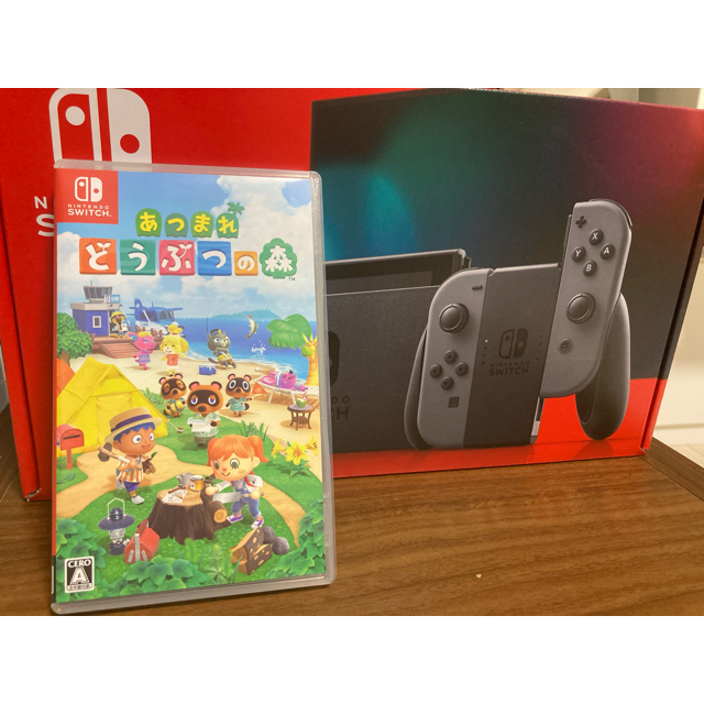 Nintendo Switch グレー／あつまれどうぶつの森