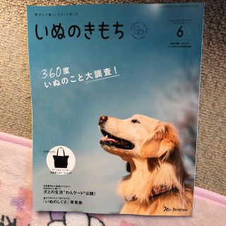 いぬのきもち6月号☆付録付き(犬)