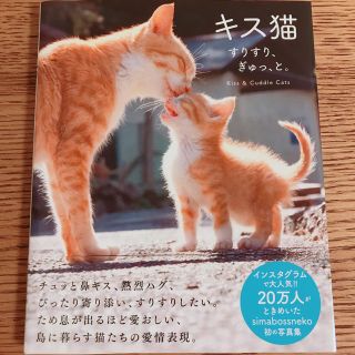 キス猫 すりすり、ぎゅっ、と。(趣味/スポーツ/実用)