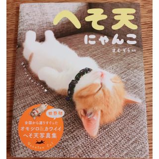 へそ天にゃんこ 見るだけで幸せににゃる(趣味/スポーツ/実用)