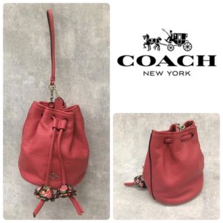 コーチ(COACH)のCOACH コーチ 巾着バッグ F56581 花柄(ハンドバッグ)