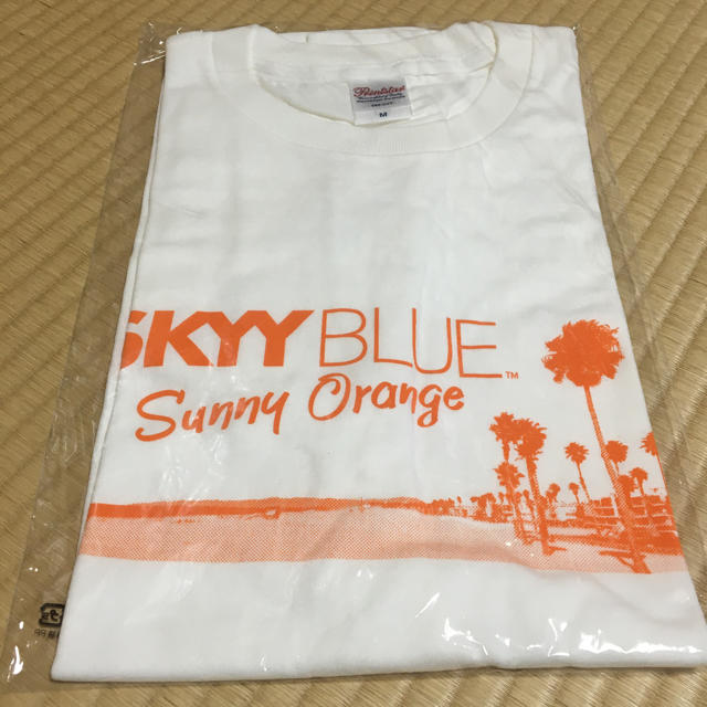 SKYY BLUE SUNNY ORANGE Tシャツ メンズのトップス(Tシャツ/カットソー(半袖/袖なし))の商品写真