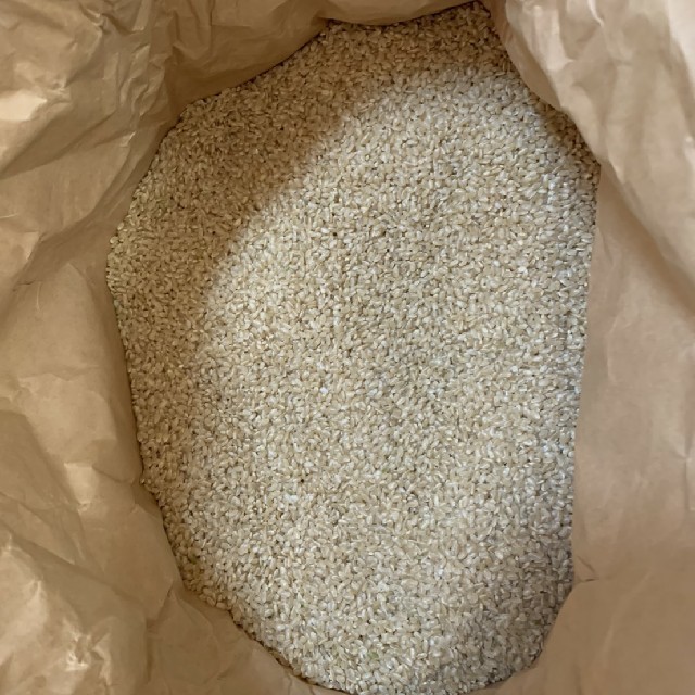 令和元年 キヌヒカリ 近江米 玄米 20kg 白米 米 飯 ご飯 御飯 送料込食品