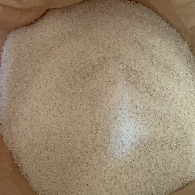 令和元年 キヌヒカリ 近江米 玄米 20kg 白米 米 飯 ご飯 御飯 送料込食品