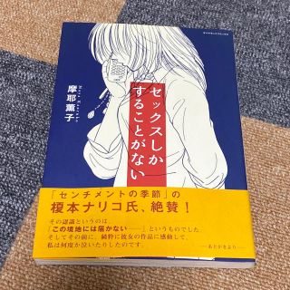 セックスしかすることがない(その他)