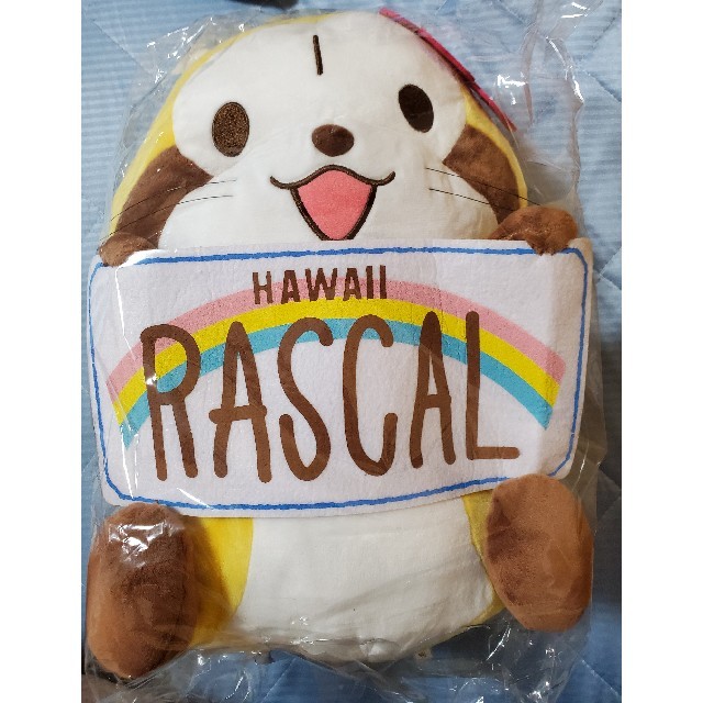 超BIGぬいぐるみ　あらいぐまラスカル　puchi Rascal エンタメ/ホビーのおもちゃ/ぬいぐるみ(ぬいぐるみ)の商品写真