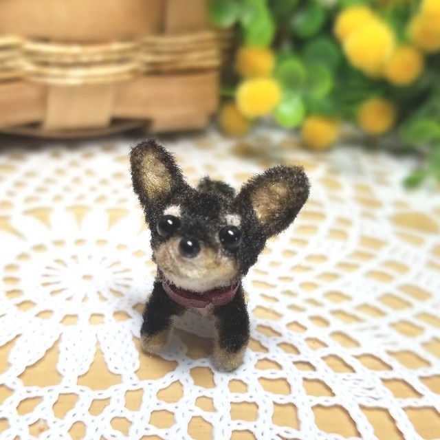 roni…様専用　モールちびわんこ　チワワ ハンドメイドのペット(その他)の商品写真