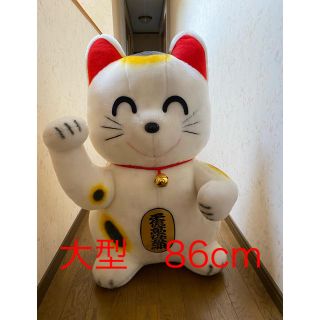 招き猫　大型(置物)