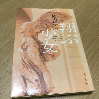 翔ぶ少女(文学/小説)