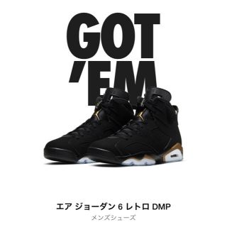 新品未使用 NIKE air jordan 6 DMP 26.0cm(スニーカー)