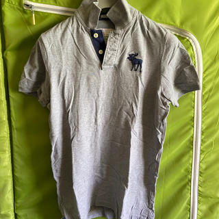 アバクロンビーアンドフィッチ(Abercrombie&Fitch)のアバクロ　ポロシャツ　Ｌサイズ(ポロシャツ)