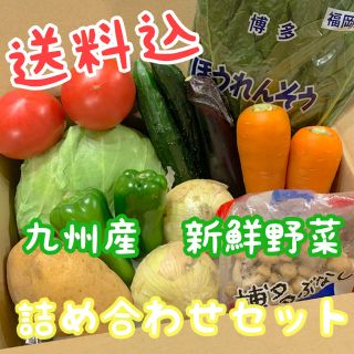 九州産　新鮮野菜　詰め合わせセット(野菜)