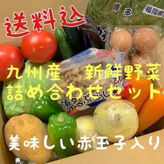 九州産　新鮮野菜　詰め合わせセット　(野菜)