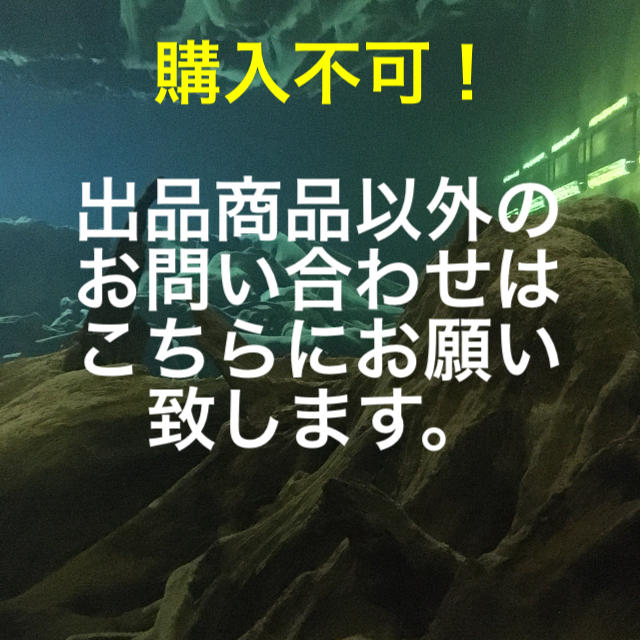 在庫確認等の質問はこちらに！