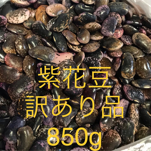 紫花豆　訳あり品　850g 食品/飲料/酒の食品(その他)の商品写真