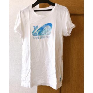 パタゴニア(patagonia)のパタゴニアTシャツ(Tシャツ(半袖/袖なし))