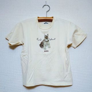 ピンクハウス(PINK HOUSE)のピンクハウス130　ベビーピンクハウス　犬(Tシャツ/カットソー)