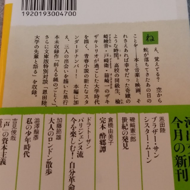 ブラザー・サン シスター・ムーン エンタメ/ホビーの本(文学/小説)の商品写真