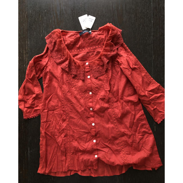 大きな刺繍襟がかわいい長袖ブラウス（レンガ色） レディースのトップス(シャツ/ブラウス(長袖/七分))の商品写真
