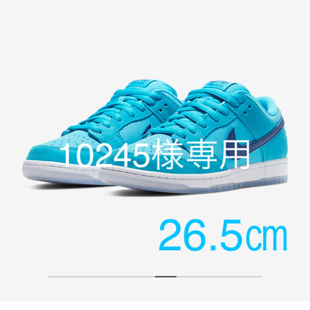 NIKE SB DUNK LOW PRO ブルーフューリー