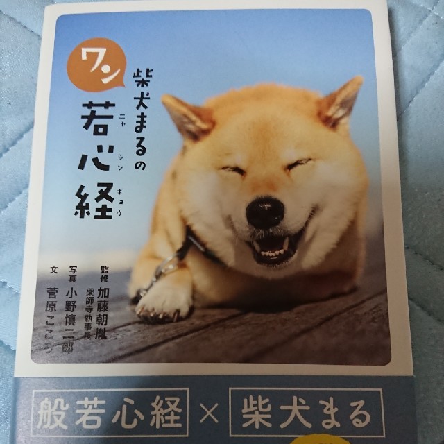 柴犬まるのワン若心経 エンタメ/ホビーの本(人文/社会)の商品写真