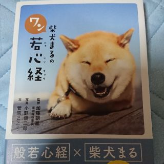 柴犬まるのワン若心経(人文/社会)