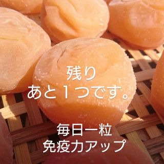 梅干し 白(十郎梅)  500g(漬物)