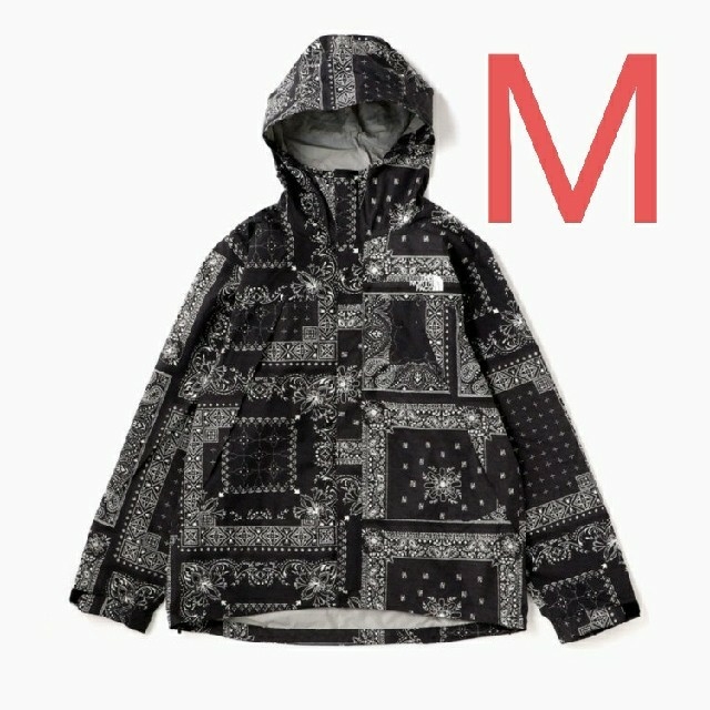 ナイロンジャケットthe north face NOVELTY DOT SHOT JACKET