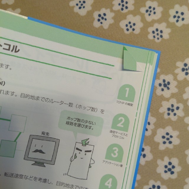 すぽんじでぶ様 確認用 その他のその他(その他)の商品写真