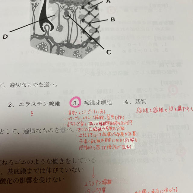 日本化粧品検定 / 2級対策問題集 エンタメ/ホビーの本(資格/検定)の商品写真