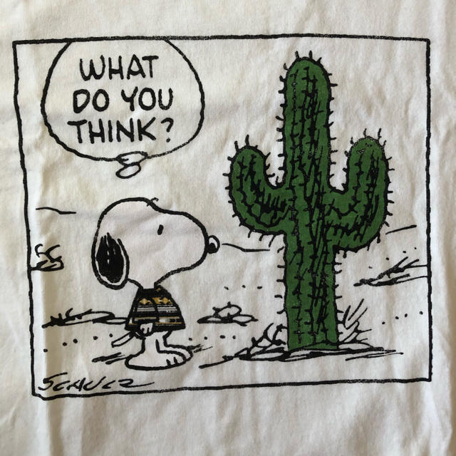 SNOOPY(スヌーピー)のスヌーピー  Tシャツ レディースのトップス(Tシャツ(半袖/袖なし))の商品写真