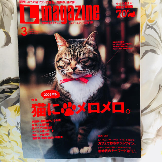 雑誌 ねこちゃん特集 京阪神 の通販 By はんのら S Shop ラクマ
