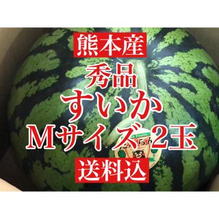 熊本産 スイカ(西瓜ハウス栽培一番成り)秀品 Mサイズ ×2玉 送料込み(フルーツ)