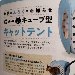 ねこのきもち付録 にゃーキューブ型キャットテントの通販 by