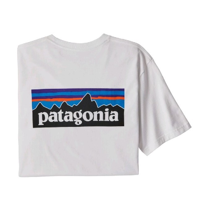 XSサイズ　パタゴニア tシャツ ロゴt P-6ロゴ レスポンシビリティ