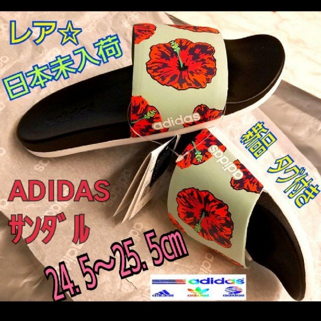 日本未発売 adidas アディダス サンダル 24.5~ 25.5スリッパ