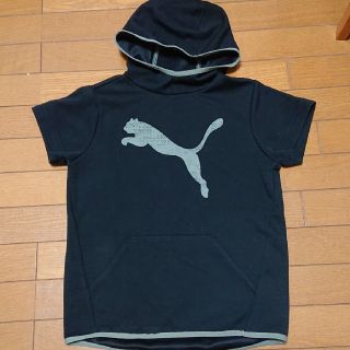 プーマ(PUMA)のPUMA  150(Tシャツ/カットソー)