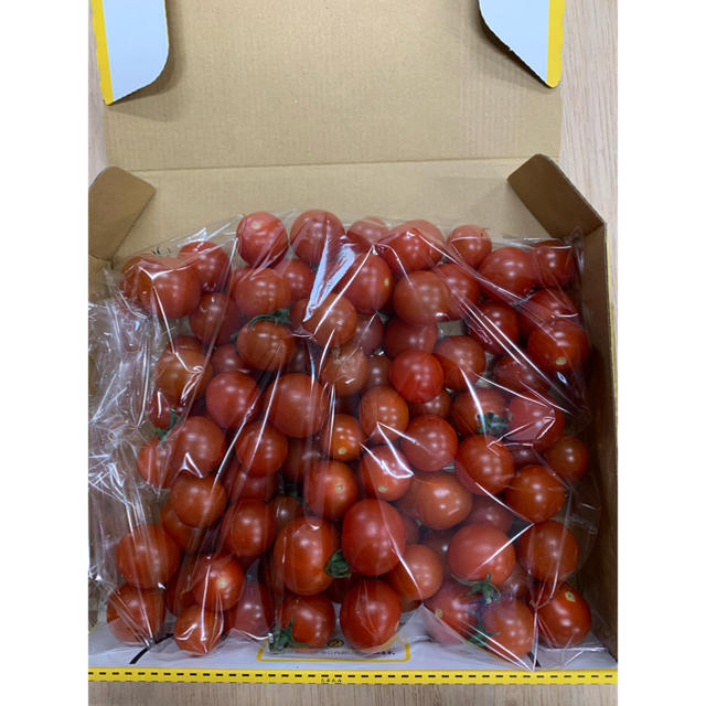 ミニトマト 2キロ ニコニコ様専用 食品/飲料/酒の食品(野菜)の商品写真