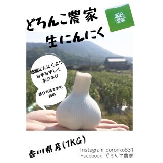 香川県産   生にんにく1kg どろんこ農家(野菜)