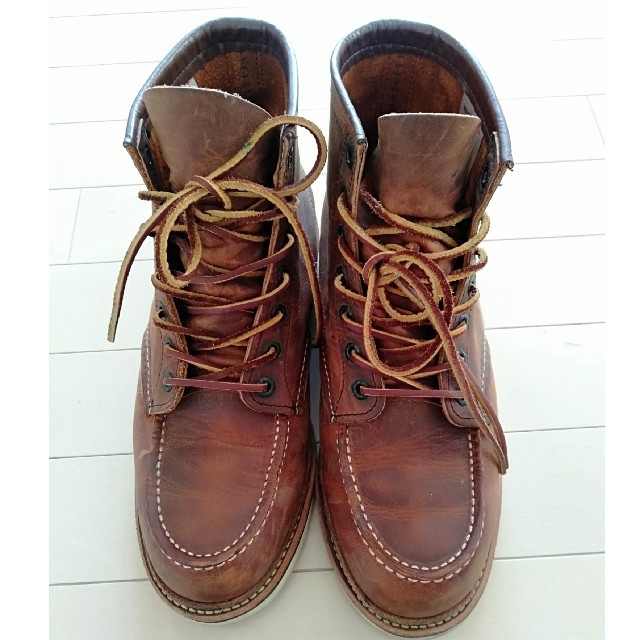 REDWING1907　アイリッシュセッター