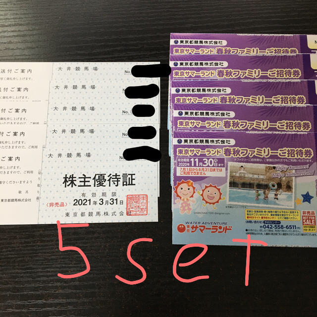 東京都競馬場株式会社 株主優待 5セット - 遊園地/テーマパーク